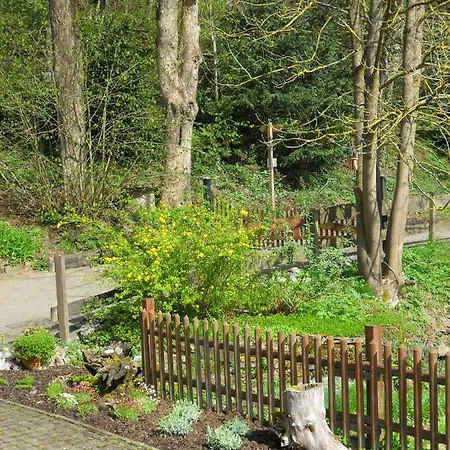 Hoellenmuehle At The Mill Pond Hessisch Oldendorf