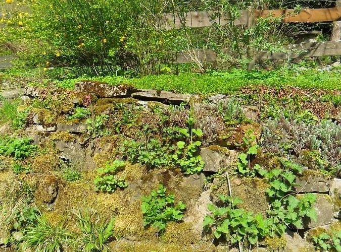 Hoellenmuehle At The Mill Pond Bed & Breakfast